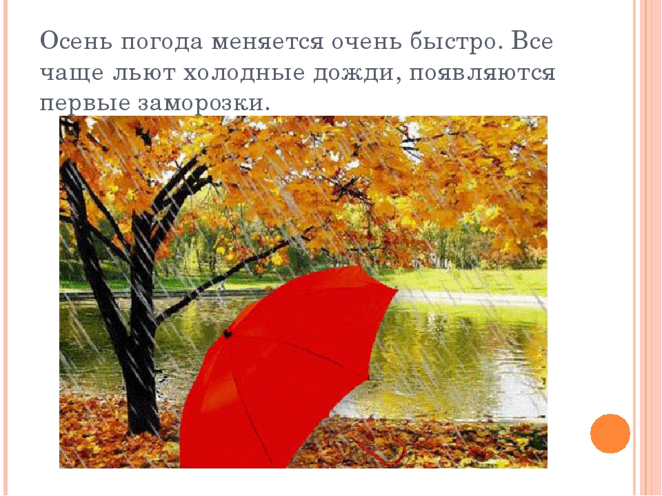 Презентация дет. сад на тему "Осень" 2 младшая-средняя группа.