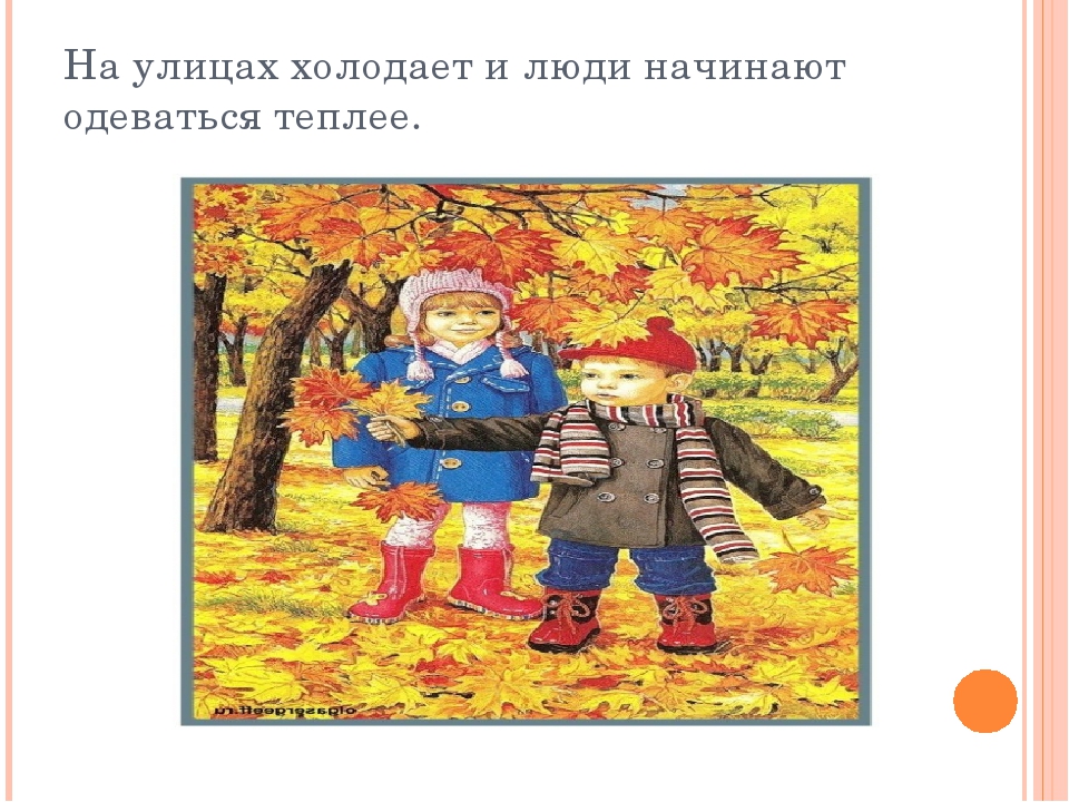 Презентация дет. сад на тему "Осень" 2 младшая-средняя группа.