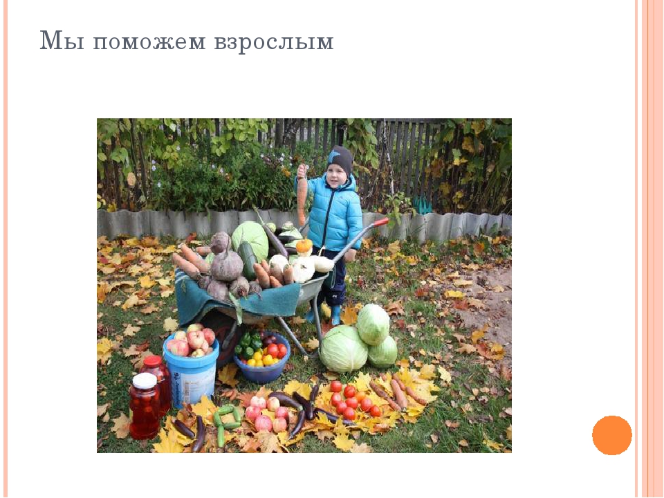 Презентация дет. сад на тему "Осень" 2 младшая-средняя группа.
