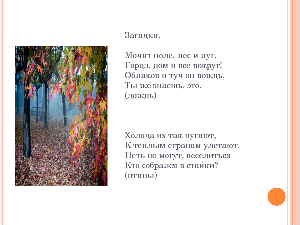 Презентация дет. сад на тему "Осень" 2 младшая-средняя группа.