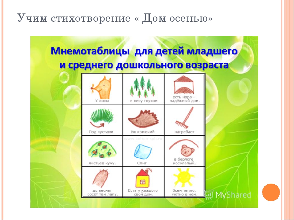 Презентация дет. сад на тему "Осень" 2 младшая-средняя группа.