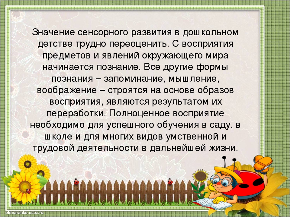 Презентация "Дидактическая игра как средство сенсорного развития детей