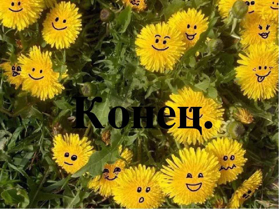 Презентация по экологии сказка "Добрый одуванчик"