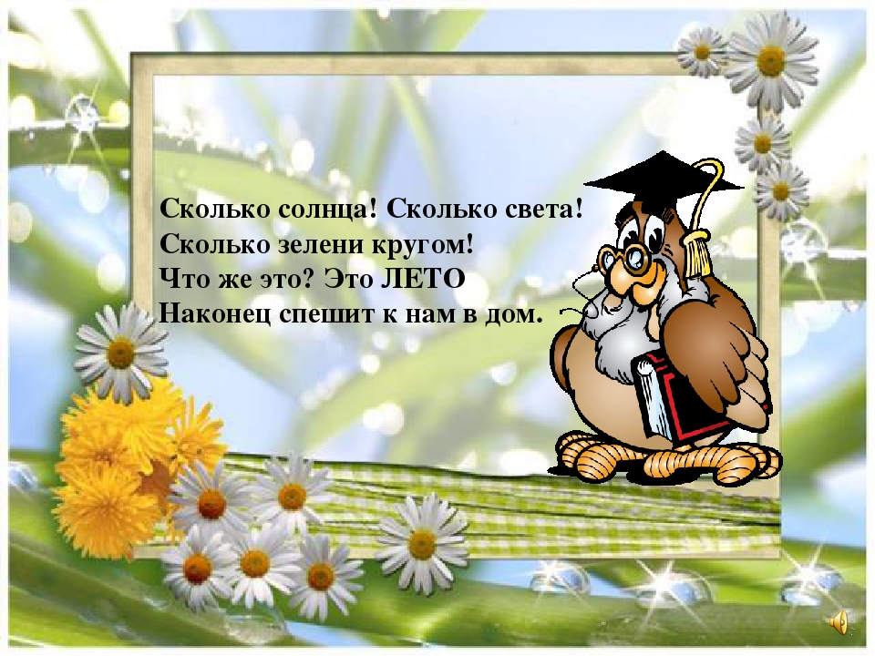 Презентация на тему "Правила поведения летом"