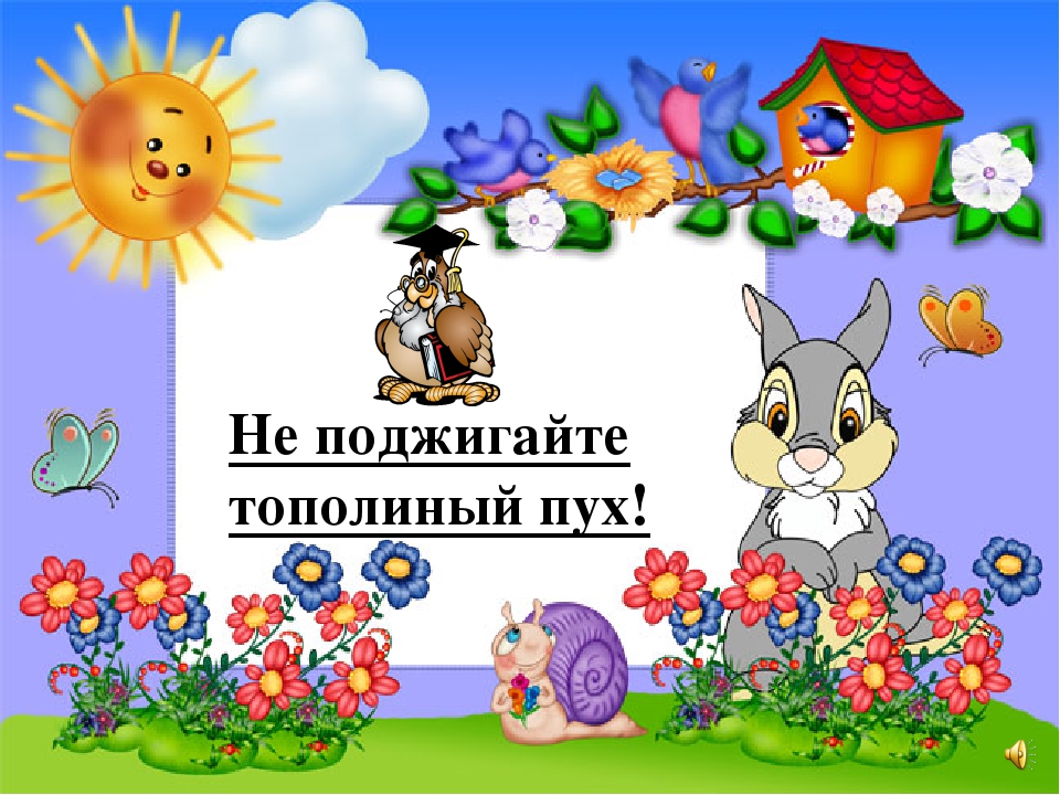 Презентация на тему "Правила поведения летом"