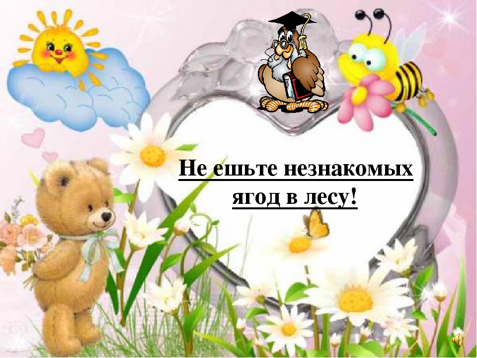 Презентация на тему "Правила поведения летом"