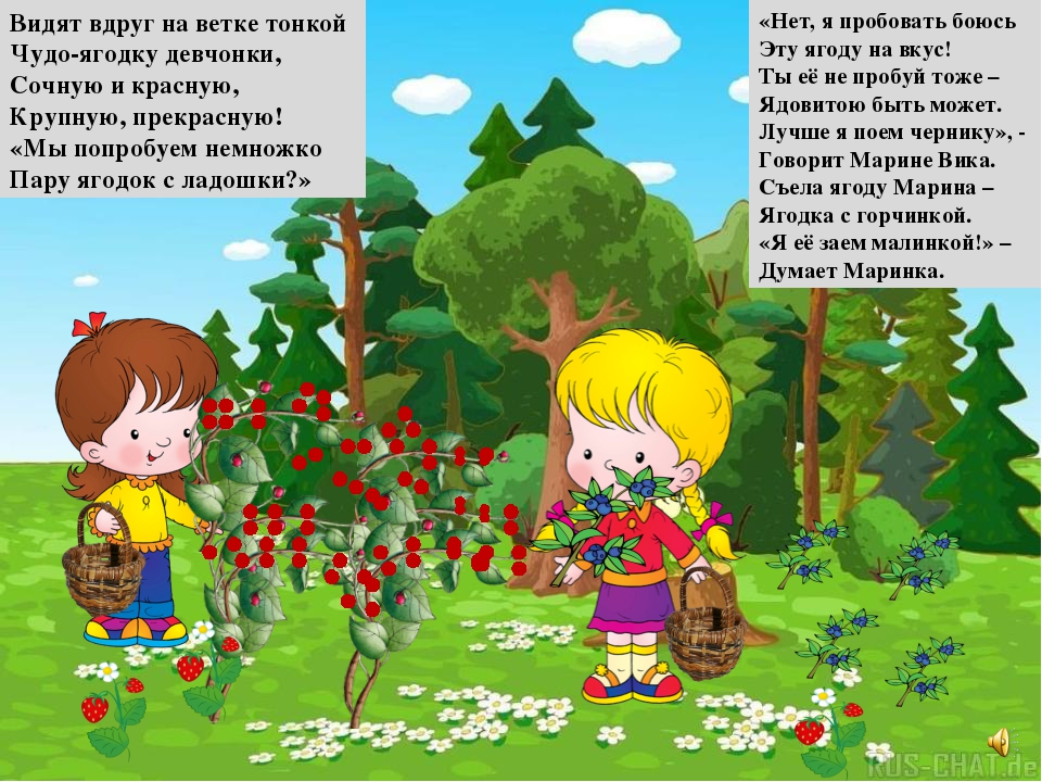 Презентация на тему "Правила поведения летом"