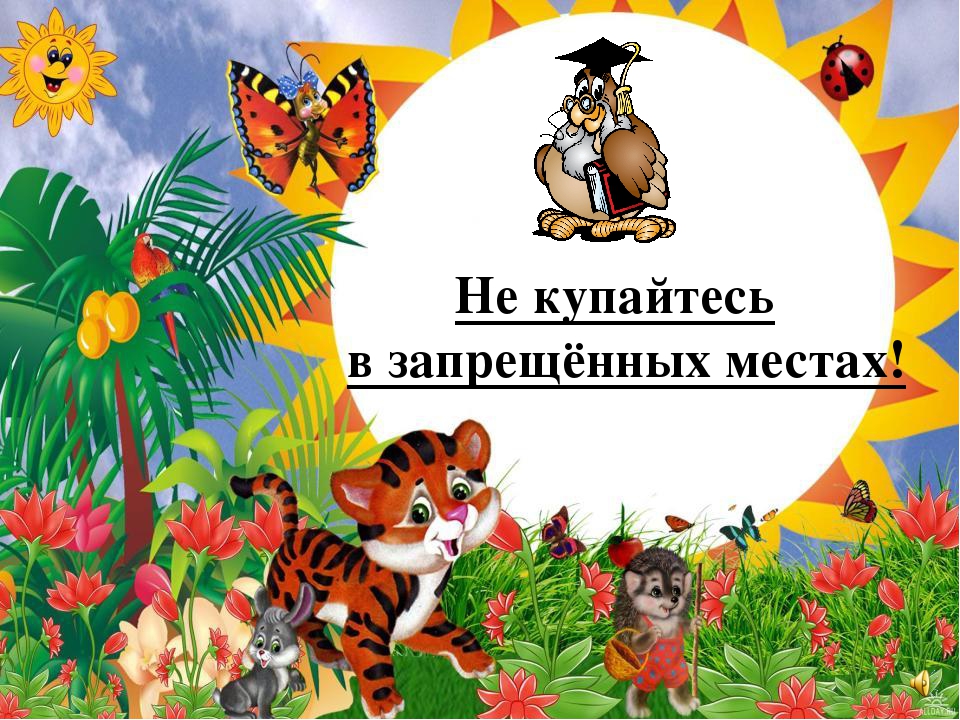 Презентация на тему "Правила поведения летом"