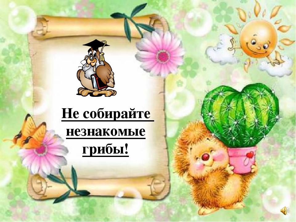 Презентация на тему "Правила поведения летом"