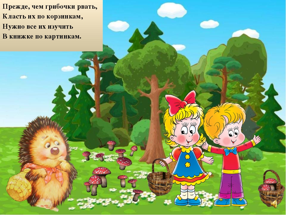 Презентация на тему "Правила поведения летом"