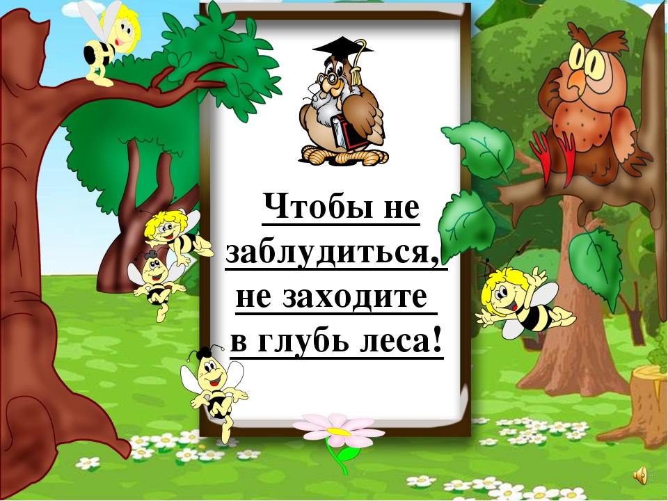 Презентация на тему "Правила поведения летом"