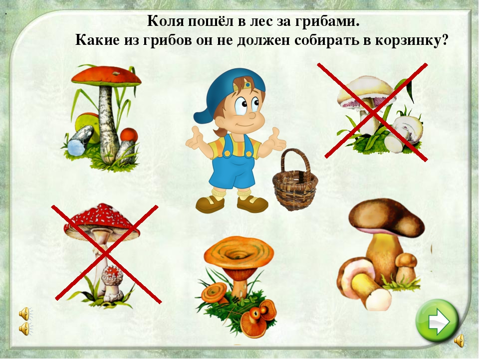 Презентация на тему "Правила поведения летом"