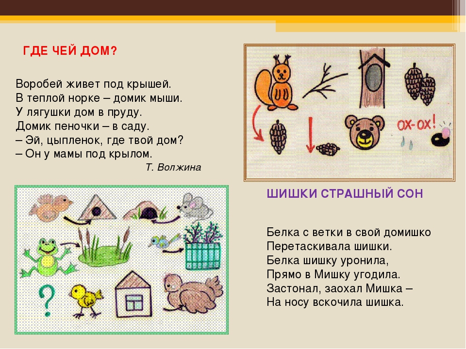 «Использование мнемотехники в развитии речи детей»