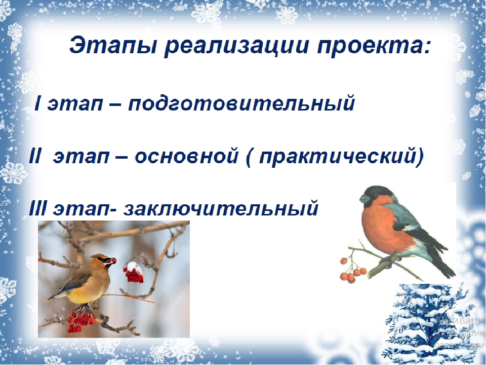 Зимующие птицы подготовительная группа. Проект птицы зимой. Проект в ДОУ птицы зимой. Проект про птиц в детском саду. Проект Покормите птиц зимой средняя группа.