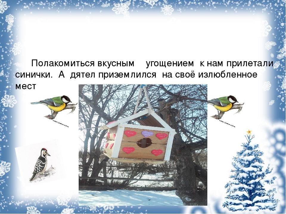 В детском саду проходила акция "Покормите птиц зимой". Данная презентация показывает какая работа была проделана в ходе этой акции.