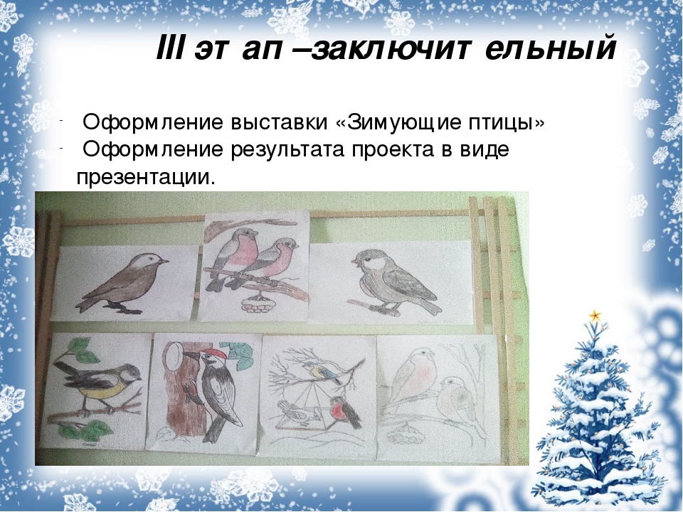 В детском саду проходила акция "Покормите птиц зимой". Данная презентация показывает какая работа была проделана в ходе этой акции.