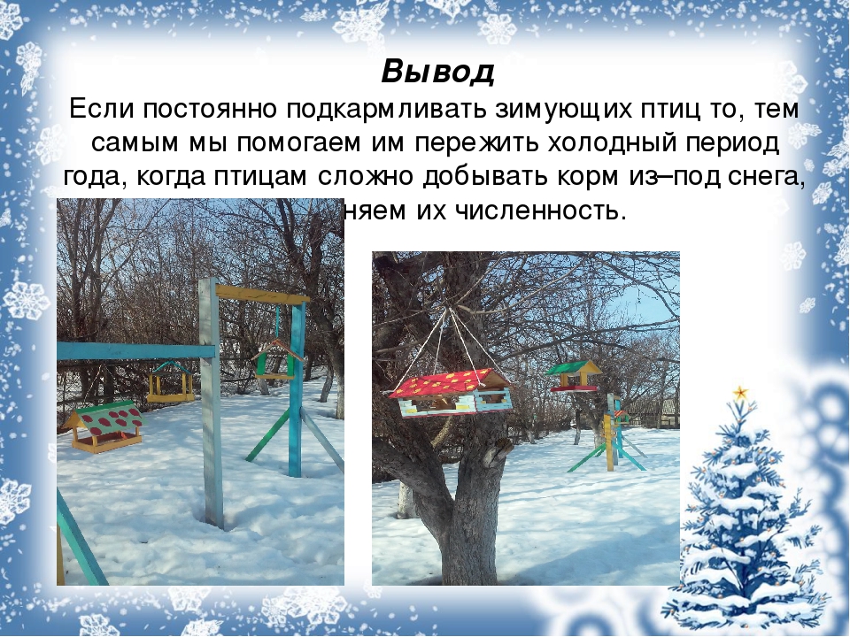 В детском саду проходила акция "Покормите птиц зимой". Данная презентация показывает какая работа была проделана в ходе этой акции.