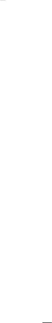 Shape19