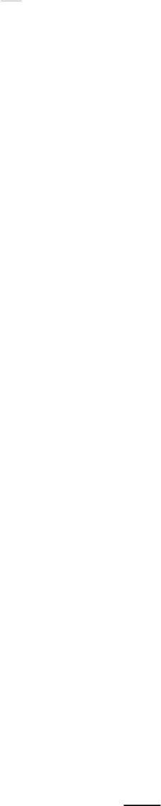 Shape17