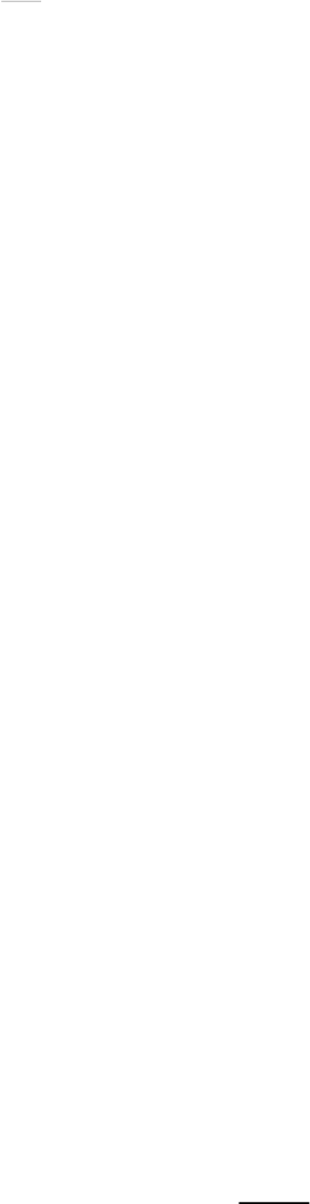 Shape21