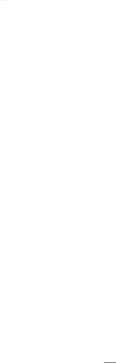 Shape91