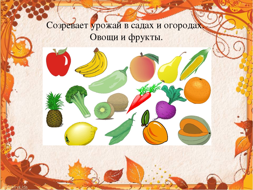 Презентация для средней группы "Осень"
