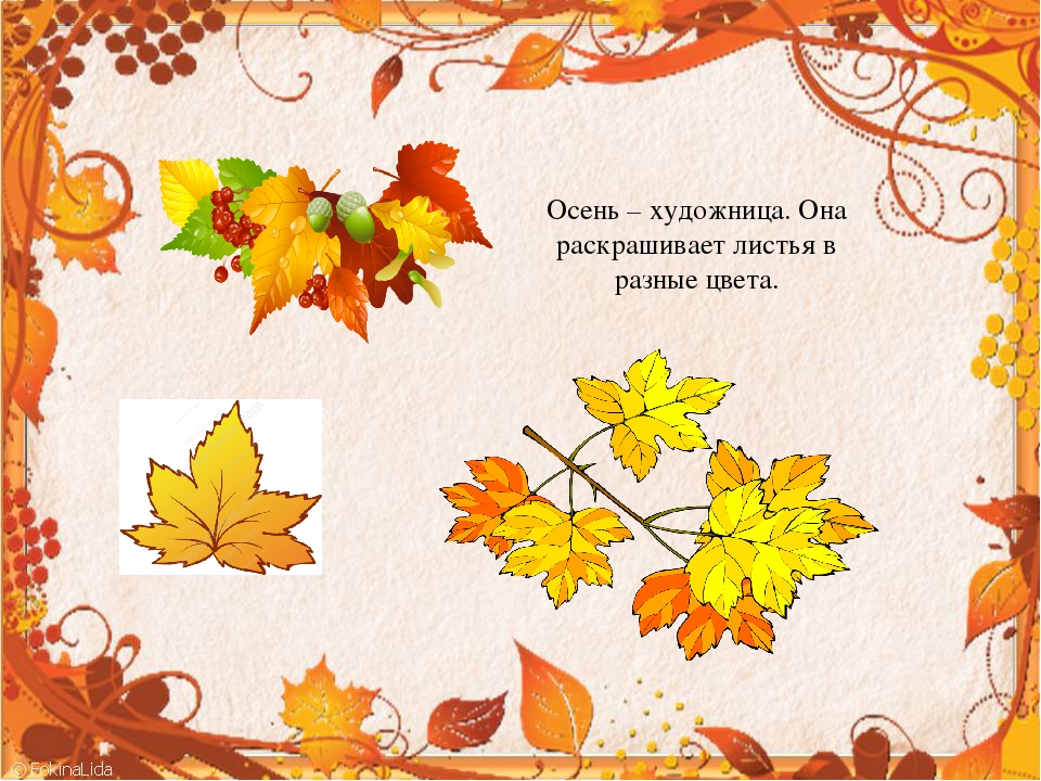 Презентация для средней группы "Осень"