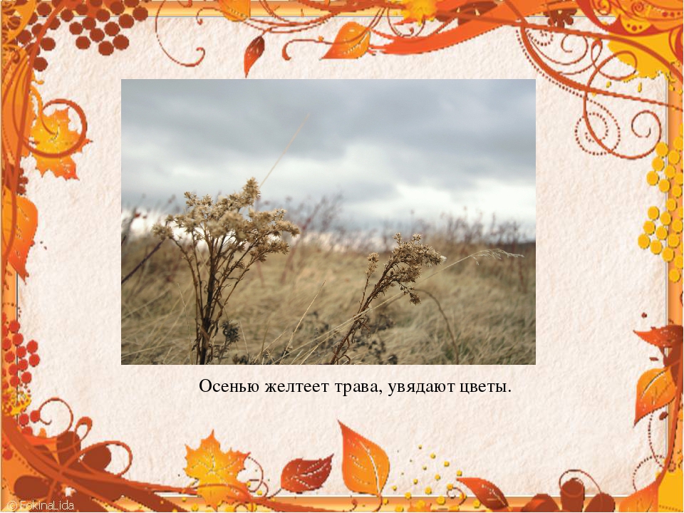 Презентация для средней группы "Осень"