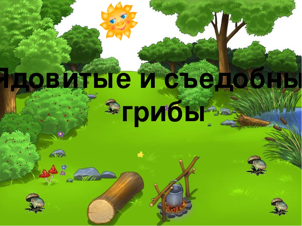 Презентация по экологическому воспитанию"Съедобные и ядовитые грибы"
