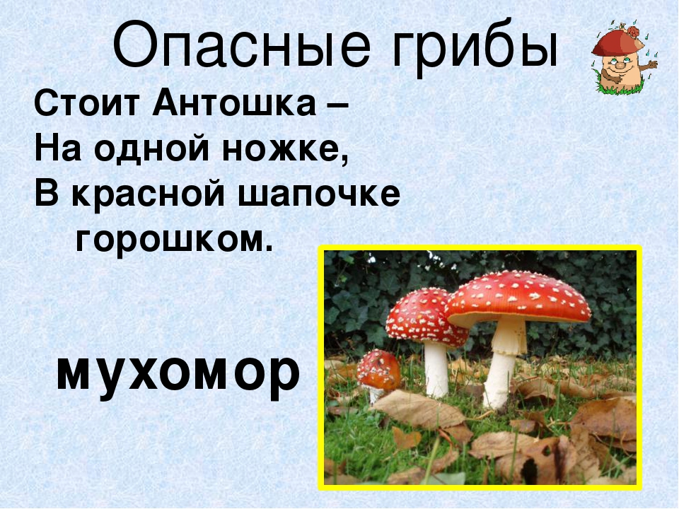 Стоит антошка на одной ножке ответ. Загадка Антошка на одной ножке. Загадка про гриб стоит Антошка на одной ножке. Антошка на ножке загадка. Стоит Антошка на 1 ножке.