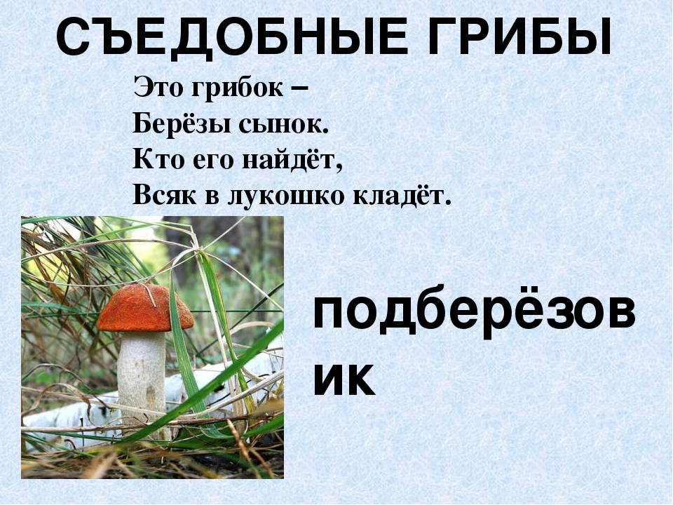 Презентация по экологическому воспитанию"Съедобные и ядовитые грибы"
