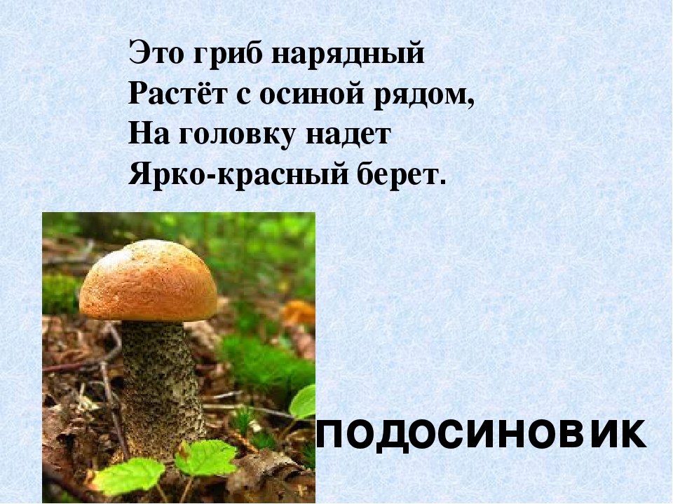 Презентация по экологическому воспитанию"Съедобные и ядовитые грибы"