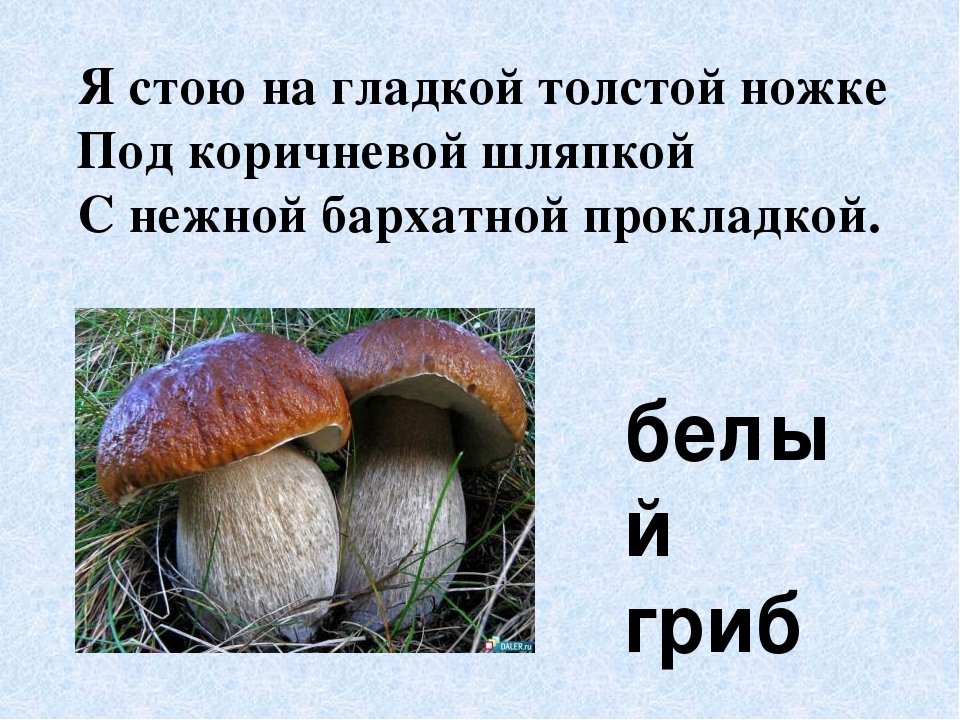 Презентация по экологическому воспитанию"Съедобные и ядовитые грибы"