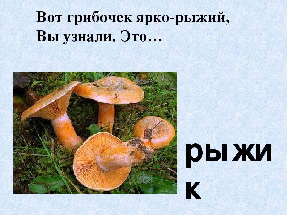 Презентация по экологическому воспитанию"Съедобные и ядовитые грибы"