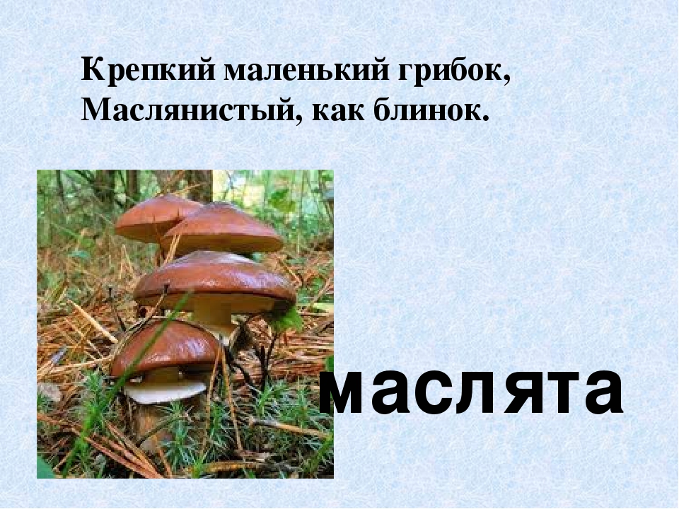 Презентация по экологическому воспитанию"Съедобные и ядовитые грибы"