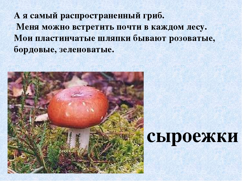 Презентация по экологическому воспитанию"Съедобные и ядовитые грибы"