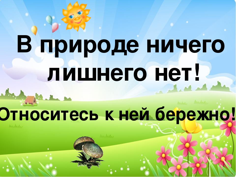 Презентация по экологическому воспитанию"Съедобные и ядовитые грибы"