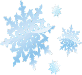 Shape11