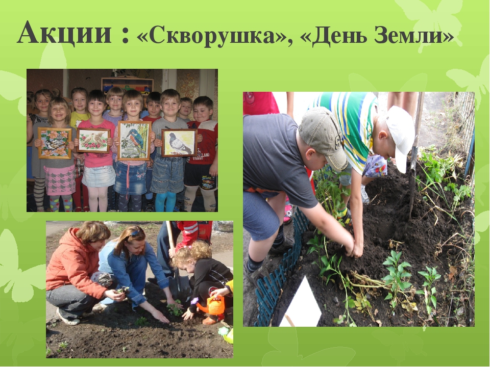 Презентация по работе с родителями "Формы взаимодействия с семьями воспитанников по вопросам экологического воспитания детей "