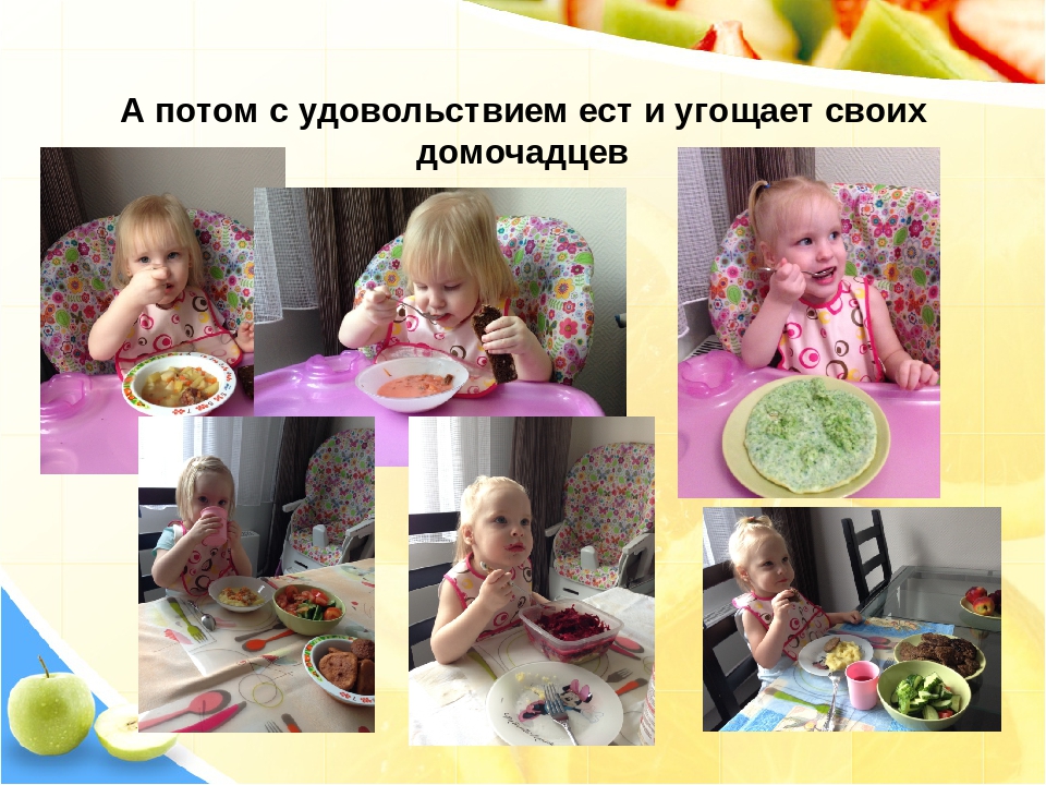 Материал к родительскому собранию по теме "Питание детей в ДОУ"