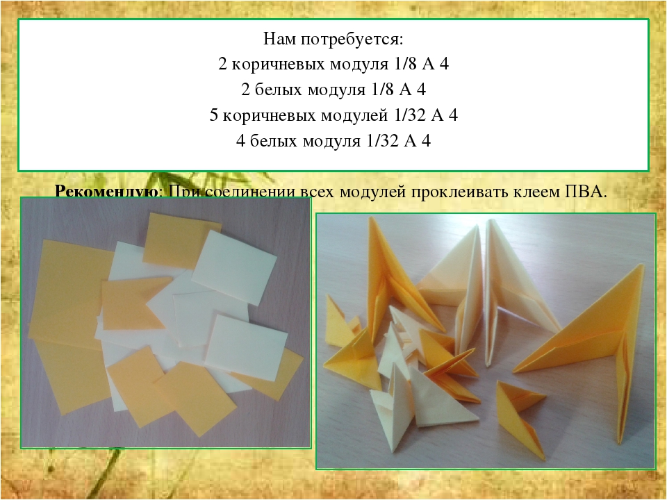 Мастер - класс "Оригами китайское модульное "Кошка""