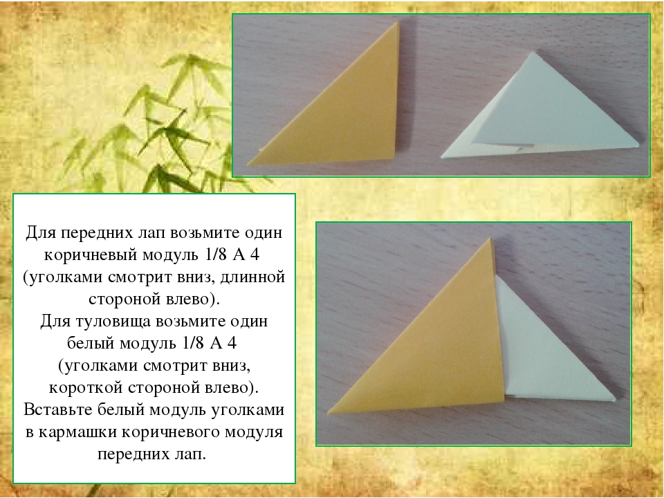 Мастер - класс "Оригами китайское модульное "Кошка""