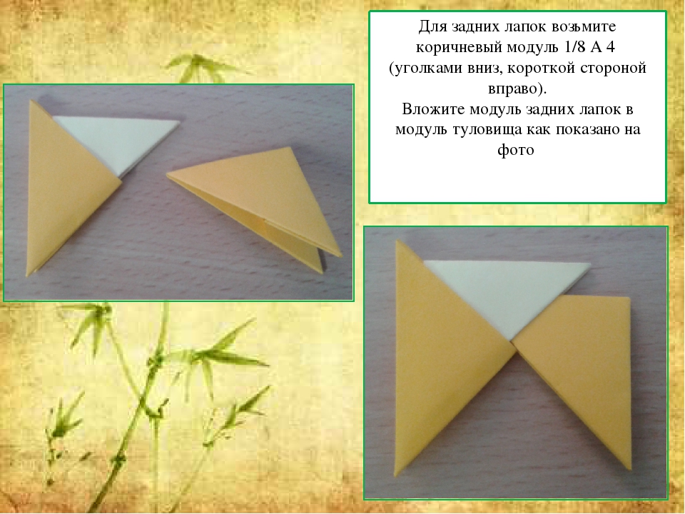 Мастер - класс "Оригами китайское модульное "Кошка""