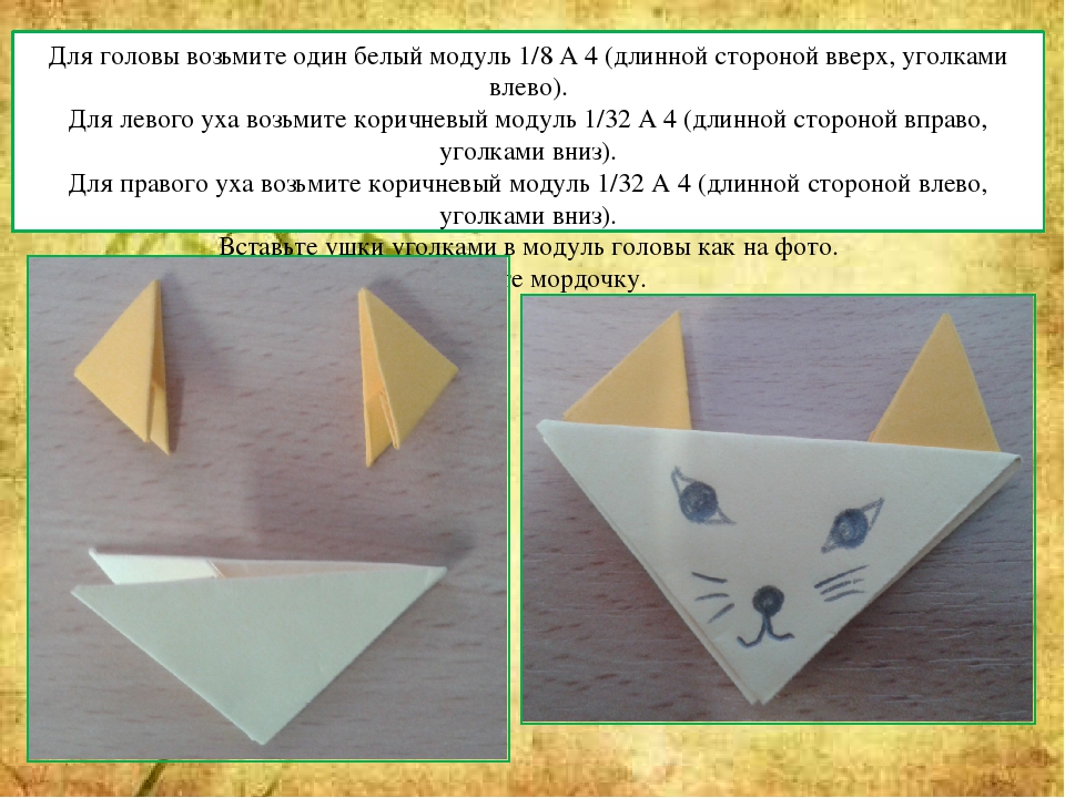 Мастер - класс "Оригами китайское модульное "Кошка""