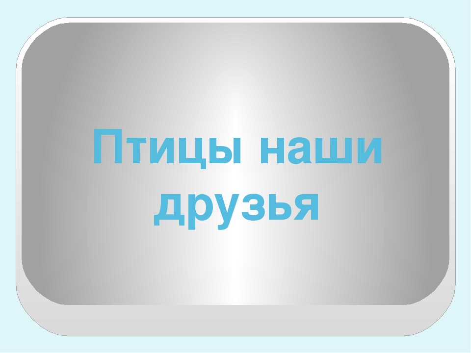 Презентация по экологическому воспитанию "Птицы"