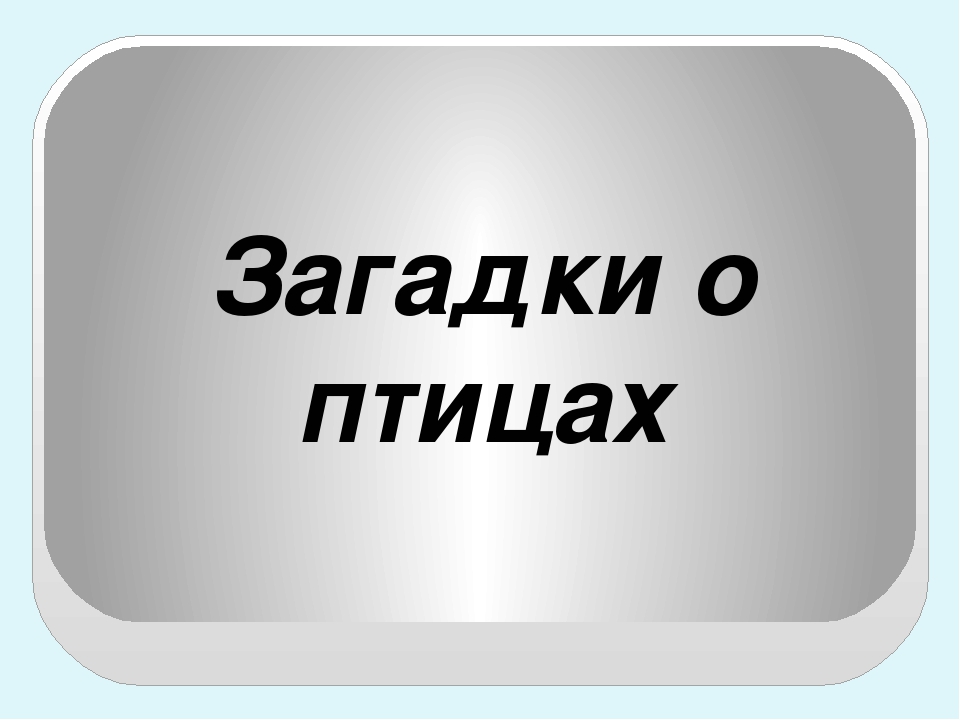 Презентация по экологическому воспитанию "Птицы"