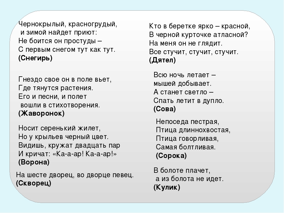 Презентация по экологическому воспитанию "Птицы"