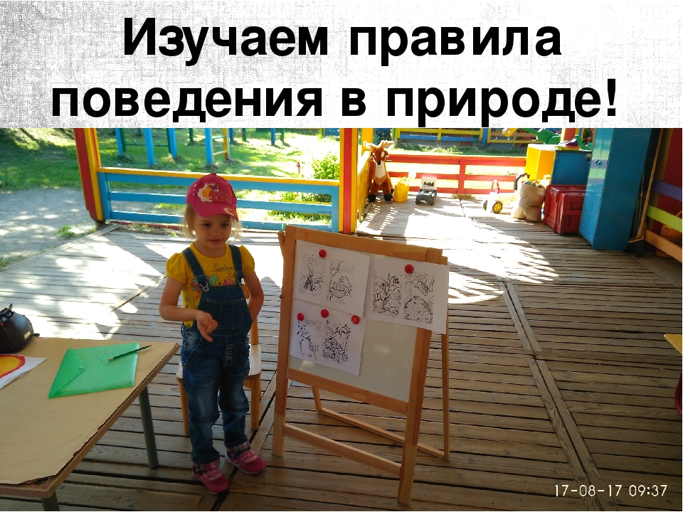 Проект в средней группе на тему "Лето и безопасность"