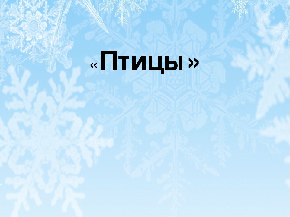 Презентация по экологическому развитию "Птицы"