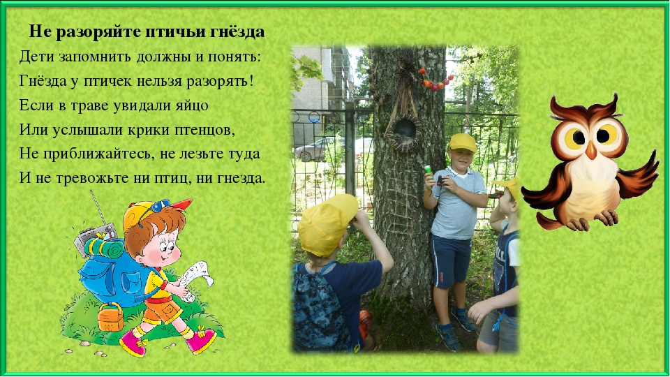Презентация по экологическому воспитанию "Тропою юного туриста"